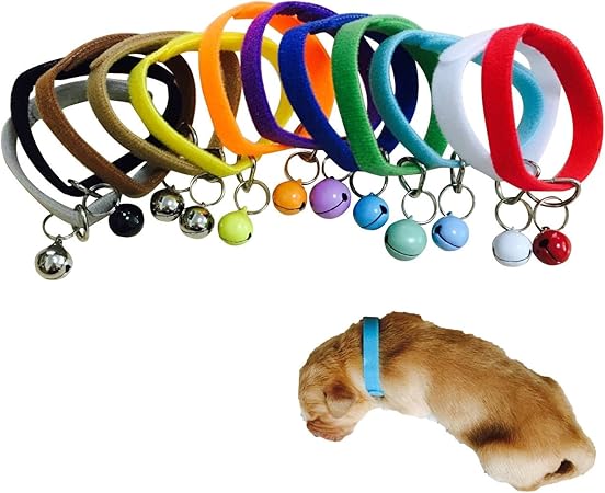 newborn puppy id collars