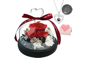 DIGI4U Mothers Day Rose Flowers Gifts for Mom Wife, Birthday Gifts for Women Girlfriend, Preserved Real Roses with LED Light I Love You Necklace Gifts for Mom Valentine's&Mother's Day Anniversary