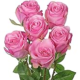 Briful Pink Artificial Roses – 6PCS 18.9" Silk Rose Faux Flowers with Long Stems Realistic Fake Rose Bouquet for DIY Wedding Arrangements Table Vase Centerpieces Home Event Decor