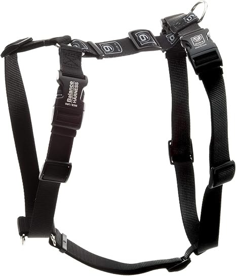 Dog harness with neck buckle Outlet