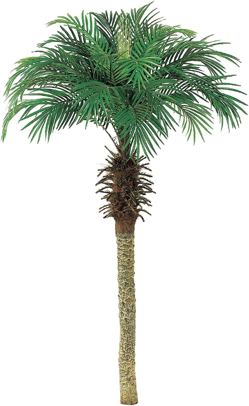 6' Phoenix Palm Tree (Pack of 2) Home & Kitchen