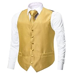 Dubulle Suit Vest Tie Set Mens Gold Plaids Paisley