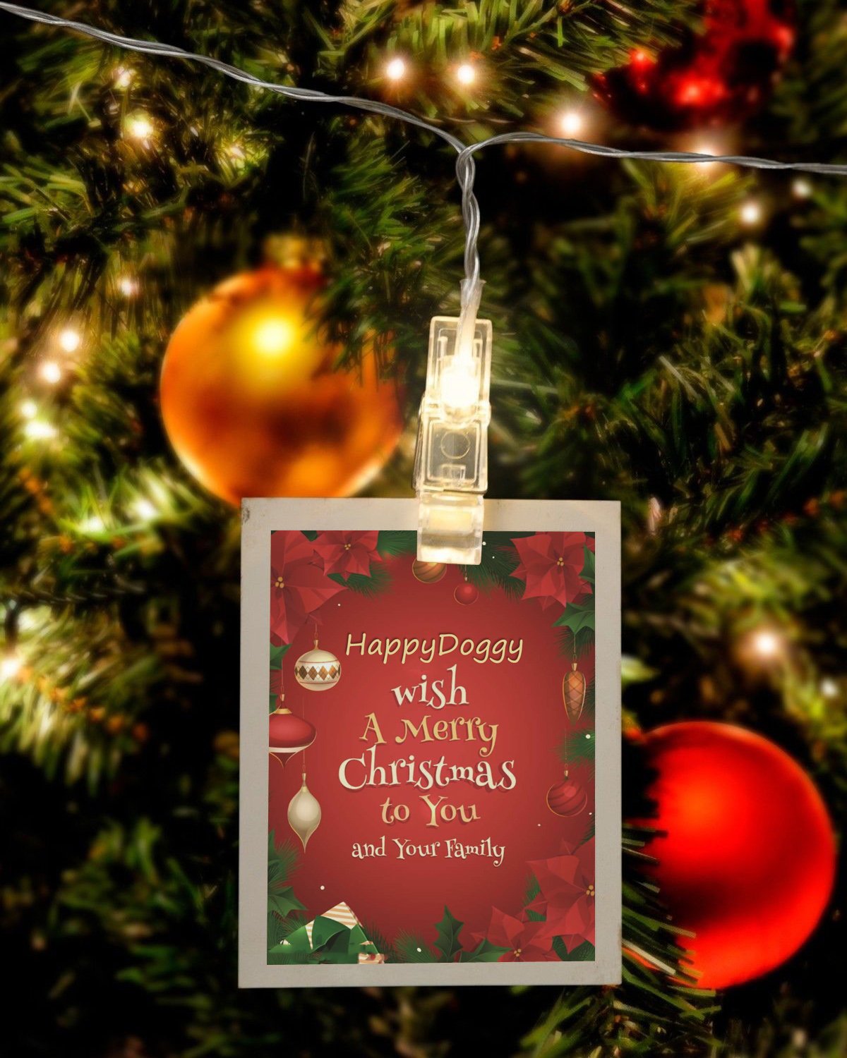 LED Photo Clip String Light – 40 Clear Clips, 13 ft, Warm White, for Fairy Indoor Home Décor Bedroom College Dorm Halloween Christmas Birthday Wedding Party– for Hanging Pictures Cards (USB Powered)