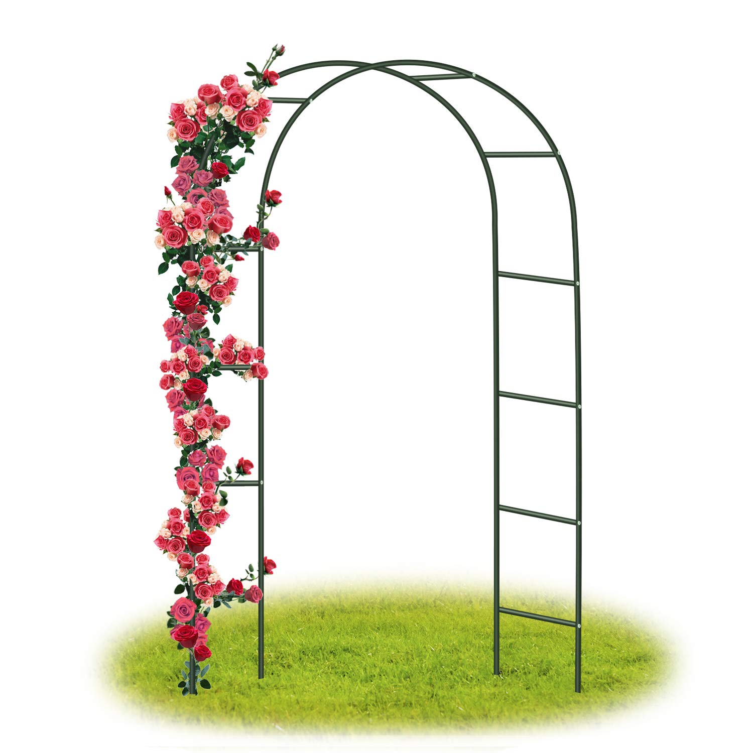 Forever Speed Steel Frame Garden Arch/Rose Arch for Roses Climbing Plants Support Archway Garden/Wedding Decoration 240 cm x 140 cm x 38 cm, Green