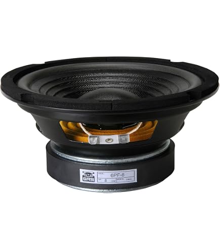 Dayton Audio DC160-8 6-1/2 Classic Woofer : Amazon.ca: Electronics