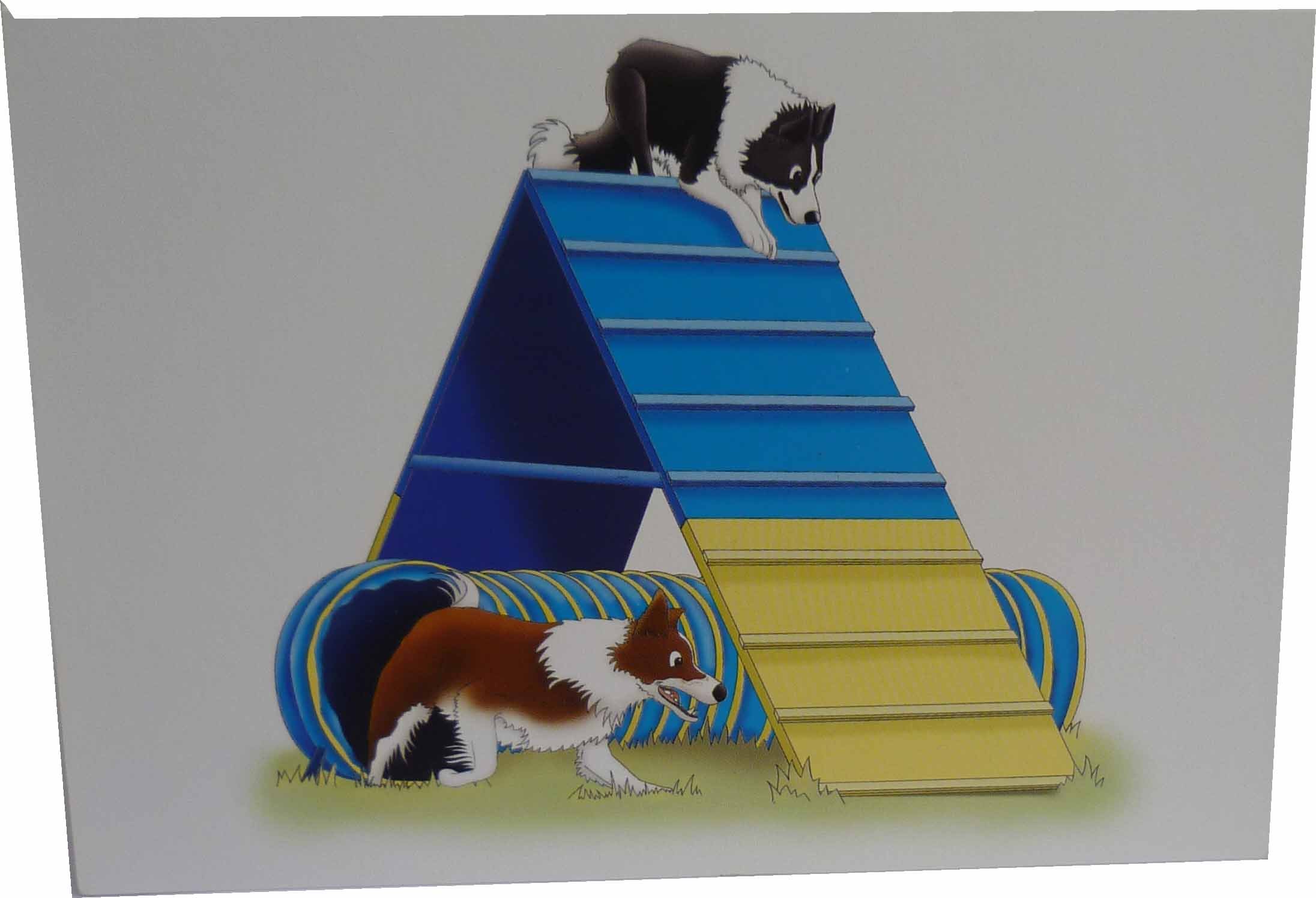 Agility Collie (A frame) Notecards (pack of 10)
