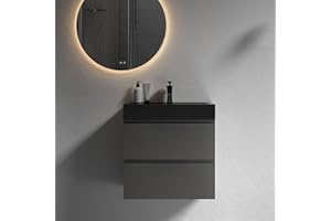 BLUHOUZZ Alice 24 Inch Bathroom Vanity with Sinkwith Overflow, Large Storage Wall Mounted Floating Bathroom Vanity for Modern Bathroom, One-Piece Sink Basin Minimalist Bathroom Sink Cabinet