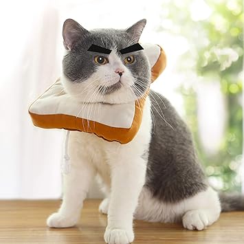 Amazon エリザベスカラー 猫 犬 ソフト 猫用エリザベスカラー 保護 首輪 軽量 ひまわり 布 布製 S ペット 大型犬 術後ウェア 犬用 ドーナツ ペット保護襟 犬首輪 小型犬 猫首輪 子猫 猫用カラー ねこ 猫用 クッション 犬猫用 ベル型 ヘルスケア ドーナツ