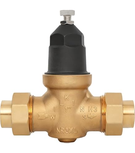 Amazon.com: Zurn Wilkins 34-NR3XLDUPEX 3/4