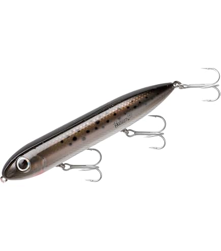 Amazon.com: Heddon Super Spook Topwater Fishing Lure for Saltwater
