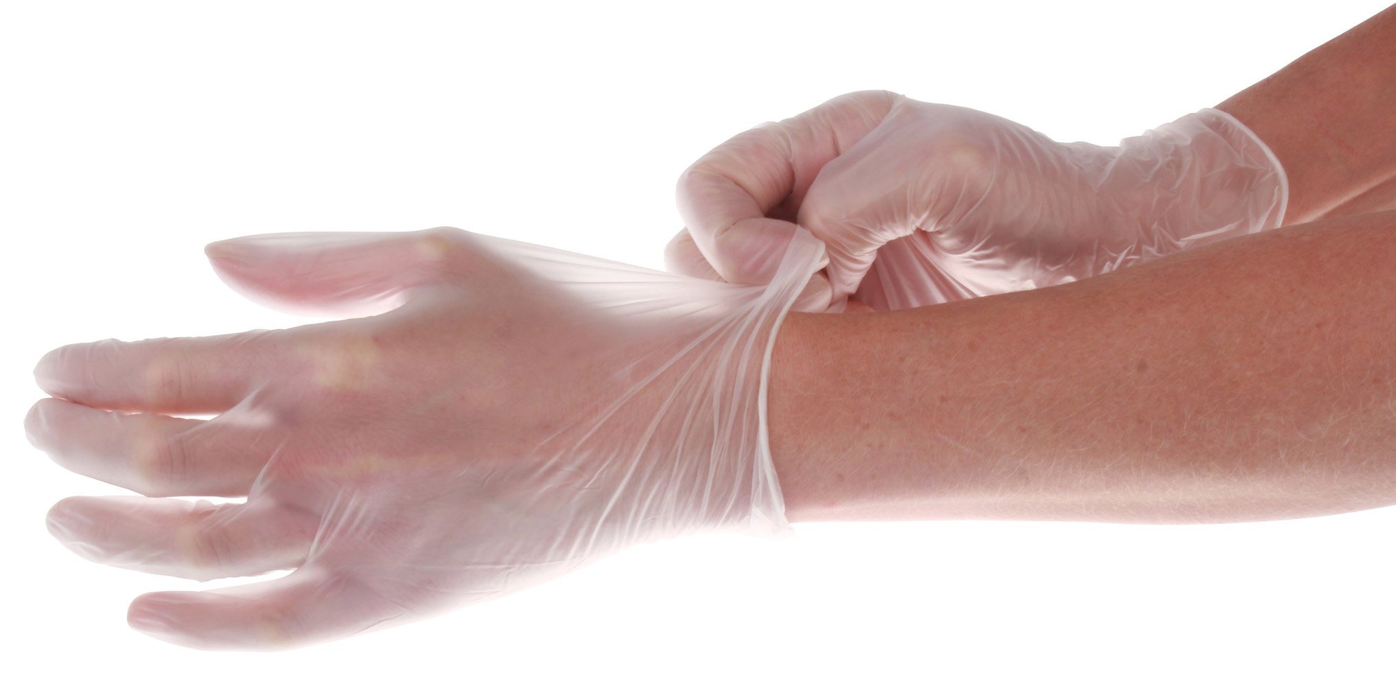 Powder Free Vinyl Gloves