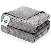 Wemore Weighted Blanket for Adults Queen Size 15 lbs, Minky Dot Cooling Heavy Blankets, Cozy Soft Washable Throw Blanket with Glass Beads, Grey 60 x 80 inches