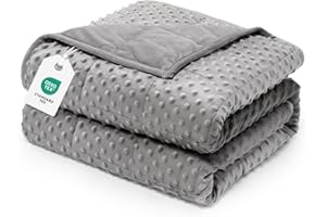 Wemore Minky Dot Weighted Blanket for Adults Queen Size 15 lbs, Soft Cozy Heavy Blanket for Stress Relief and Sleep Promotion, Breathable Blanket for All-Season with Glass Beads, Grey 60 x 80 inches