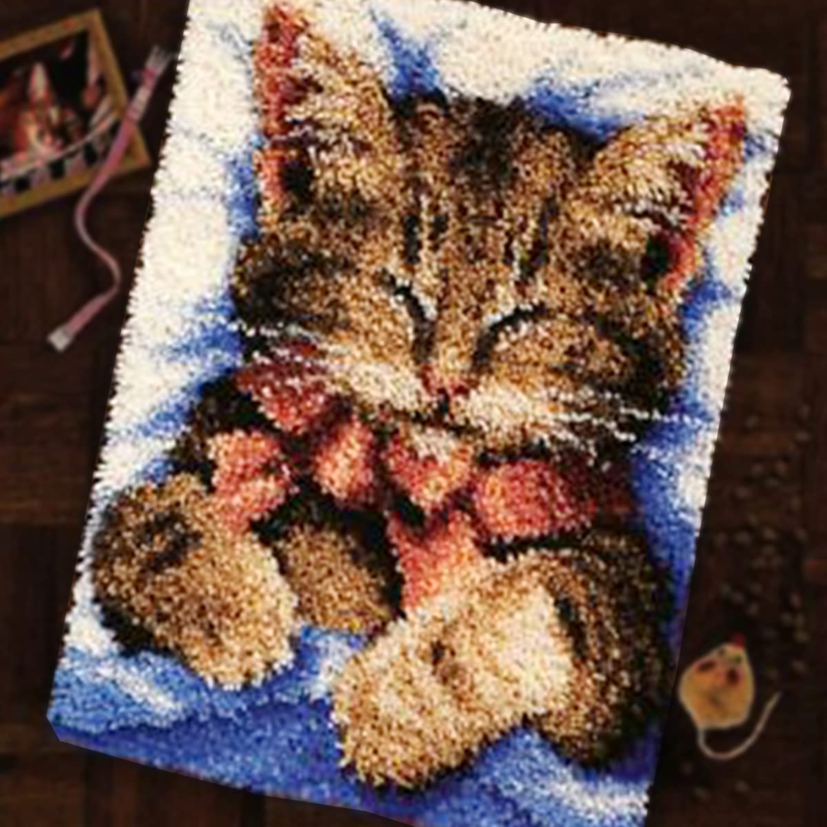 ebulous Latch Hook Rug Kits, DIY Crochet Yarn Cushion for Home Decoration, Latch Hooking Craft Kit for Adults Kids with Color Pre Printed Canvas Pattern Design (Sleeping Cat, 20.5 x 15in)