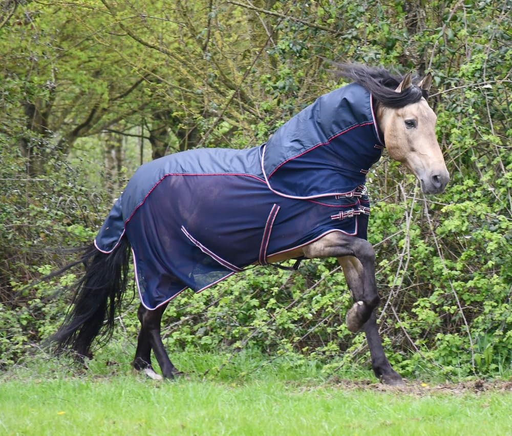 Rhinegold Mombasa Fly Rug + Neck Cover-7/0-Navy