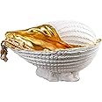 Ebros 10" Long Golden Nautical Ocean Nautilus Mollusc Shell Display Dish Bowl Holder Statue For Jewelry Potpourri Coins Multi Purpose Storage Container Boudoir Decor Marine Seashell Decorative Accent