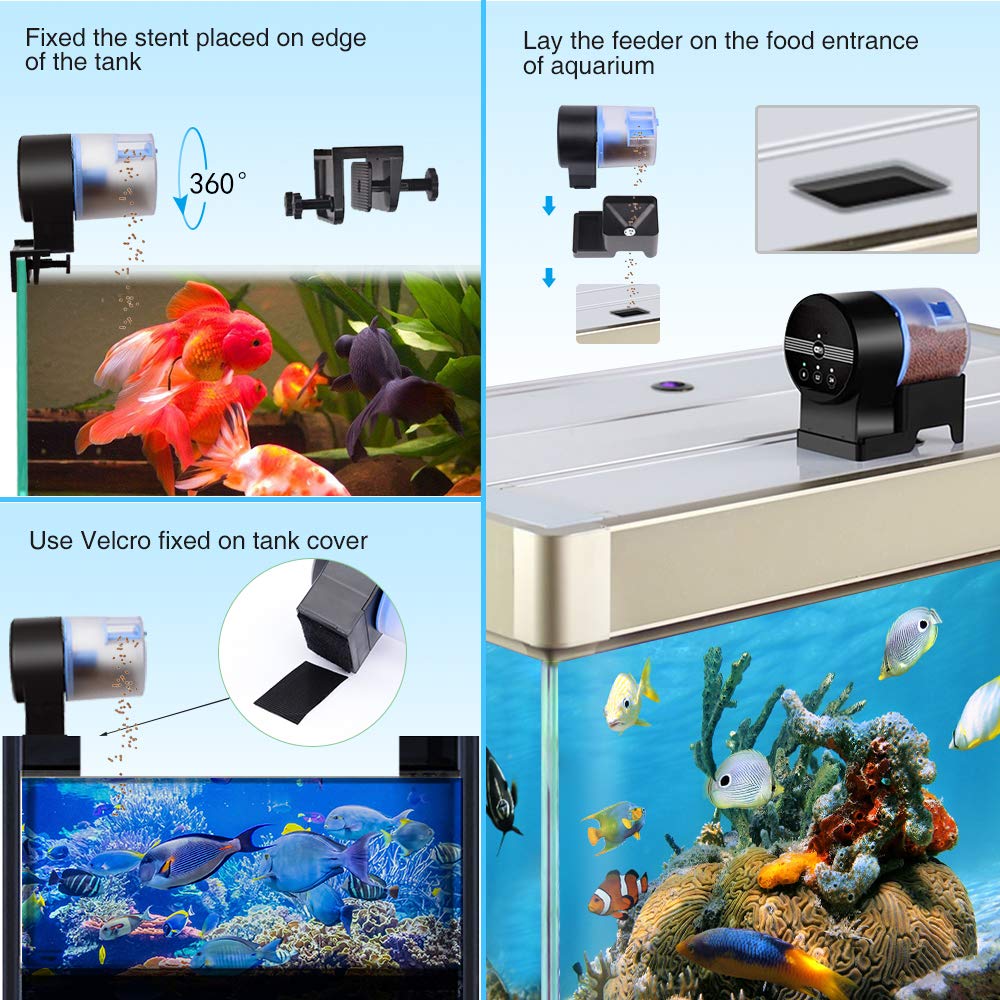 Fish Aquariums Pet Supplies Fresh Water Nutrafin 7 Day Fish