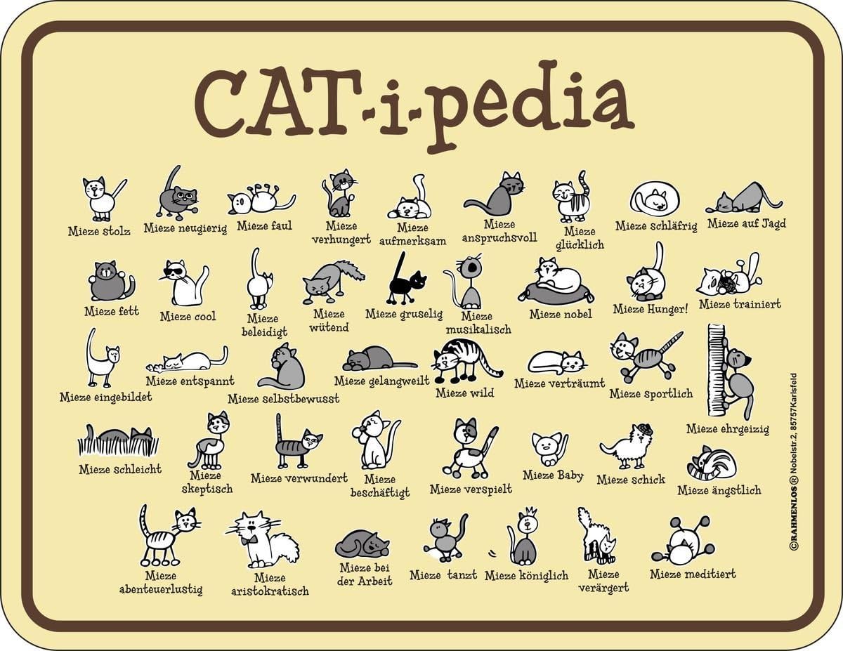RAHMENLOS® Blechschild Catipedia Katze Fun Geschenk