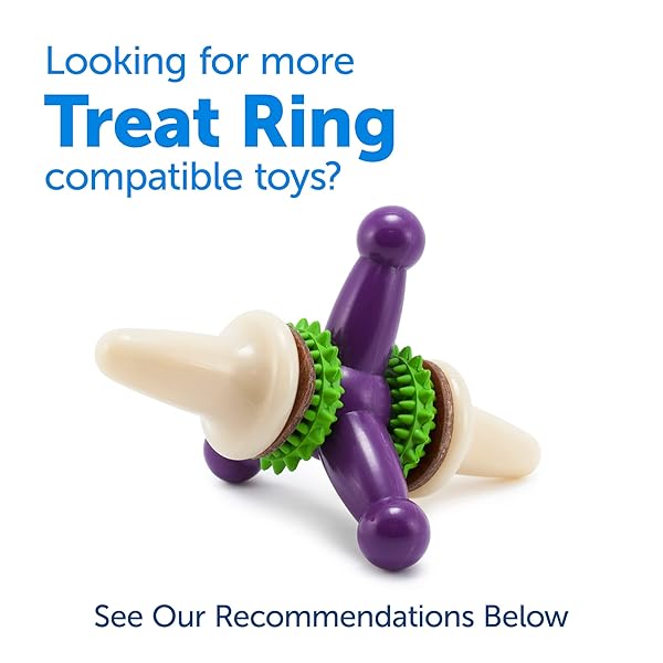 PETSAFE® NATURAL RAWHIDE TREAT RING REFILLS, SIZE C, PEANUT BUTTER FLAVOR, REPLACEMENT TREATS BUSY BUDDY TREAT RING HOLDING TOYS