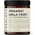 100% Organic Amla Powder 3.2 oz - 45 Servings - Indian Gooseberry - Immunity Support - Skin and Hair Regeneration - Rich in Vitamin C - Straight from Farm in India - Raw, Vegan and Gluten-Free