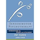 Sensorimotor Psychotherapy: Interventions for Trauma and Attachment (Norton Series on Interpersonal Neurobiology)