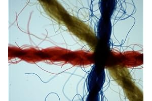 LABSTOCK Colored Thread, Classpack of 15 Slides