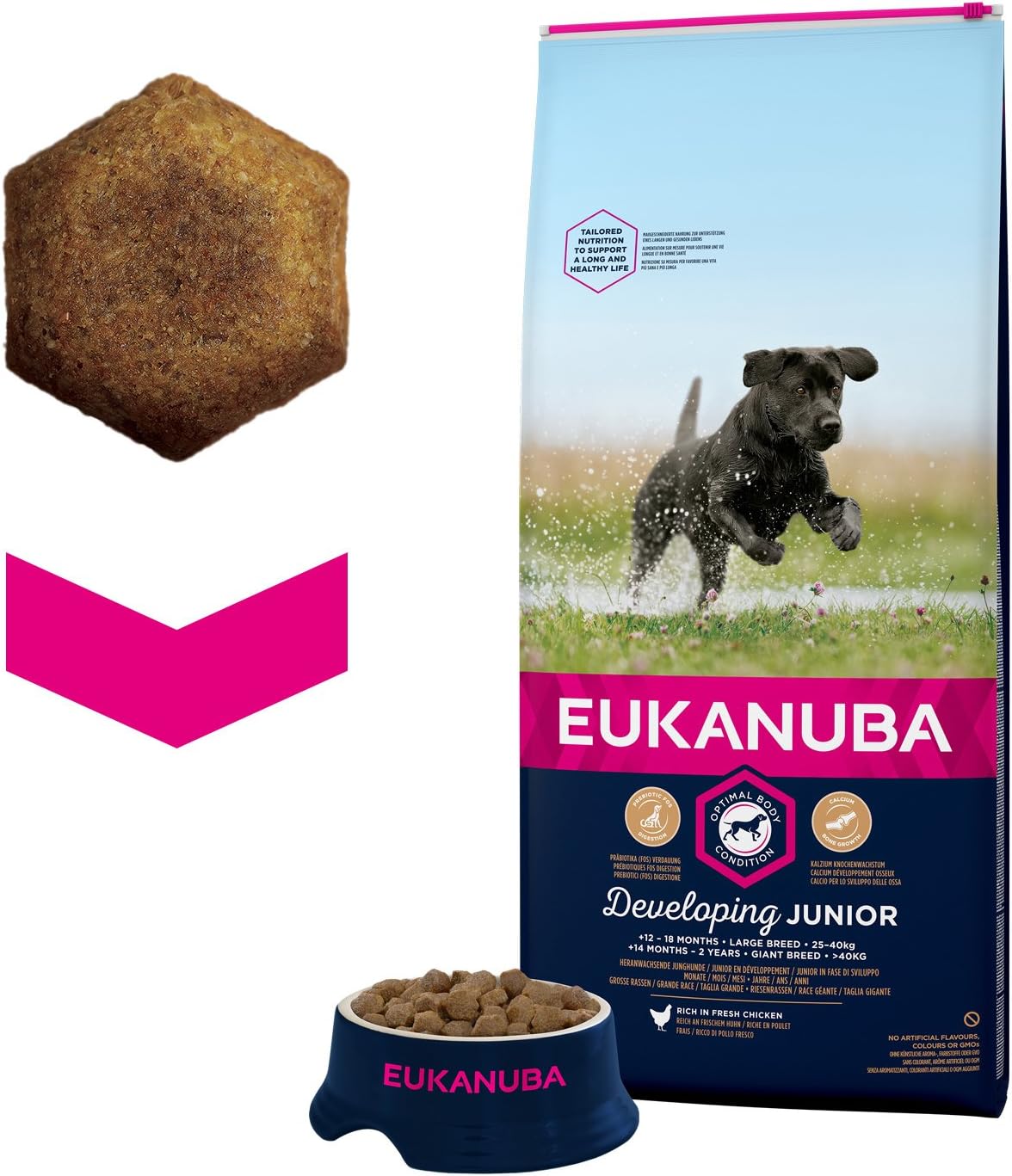 Eukanuba Junior Dog Food For Large Dogs Rich In Fresh Chicken for the Optimal Body Condition of Your Dog 12 kg - Image 3