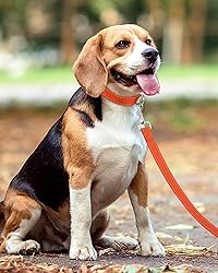 Taglory Dog Leash for Medium Large