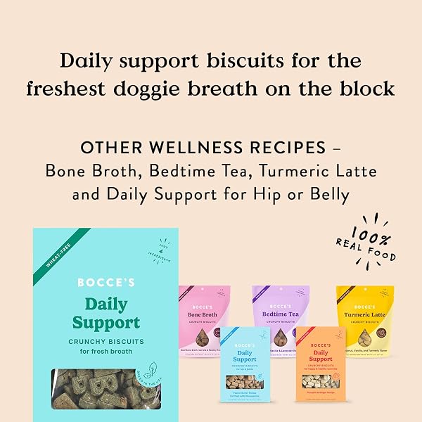 BOCCE’S BAKERY BREATH DAILY SUPPORT TREATS FOR DOGS, WHEAT-FREE DOG TREATS, MADE WITH REAL INGREDIENTS, BAKED IN THE USA, SUPPORTS ORAL HEALTH, ALL-NATURAL APPLE & MINT BISCUITS, 12 OZ