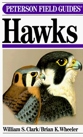 A Peterson Field Guide To Hawks Of North America (Peterson Field Guides)