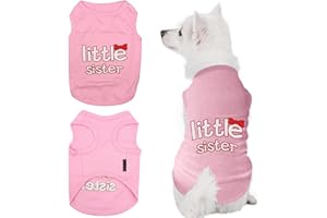 Parisian Pet Dog Cat Clothes Tee Shirts Little Sister T-Shirt, 2XL