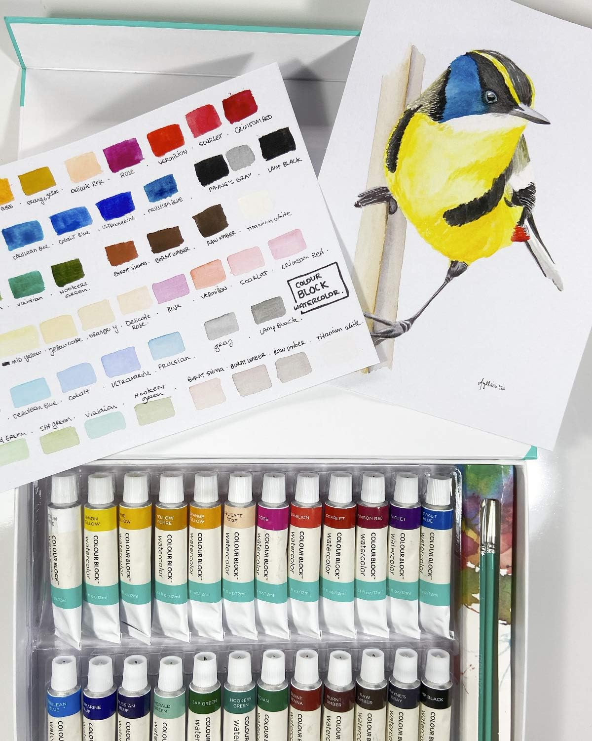 COLOUR BLOCK 32pc Watercolor Paint Tubes Set with Brush and Watercolors Paper I Best Art Supply for Kids, Teens, Adults I Non Toxic Water Color Supplies for Beginner, Student to Professional Artists