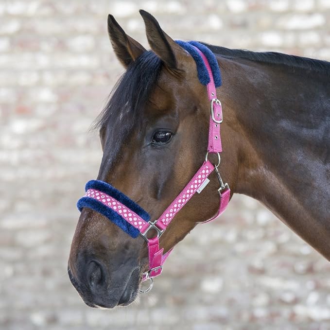 Waldhausen Halfter Unicorn Glitter