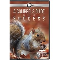 その他 NATURE: The Mighty Weasel [DVD] Amazon.co.jp: NATURE: The Mighty Weasel [DVD] : DVD