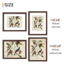 upsimples 8.5x11 Picture Frame, Display Pictures