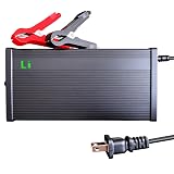 24V Lithium Battery Charger 29.2V 10A LiFePO4 Battery Charger for Lithium Iron Phosphate Battery, AC-DC Smart Charger, Battery Maintainer, Built-in Safety Protections, Support 0V Charging Function