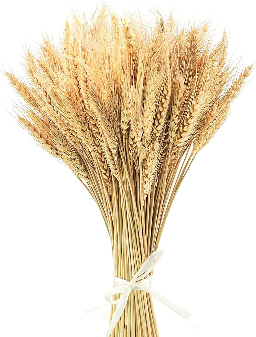 Yukiyi 100 Stems Dried Wheat Flowers Sheaves 40cm Natural Ear of Grain