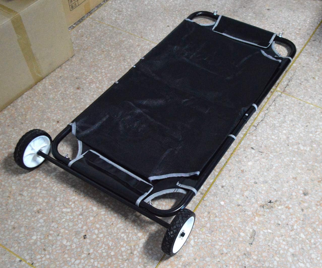 emergency pet transport