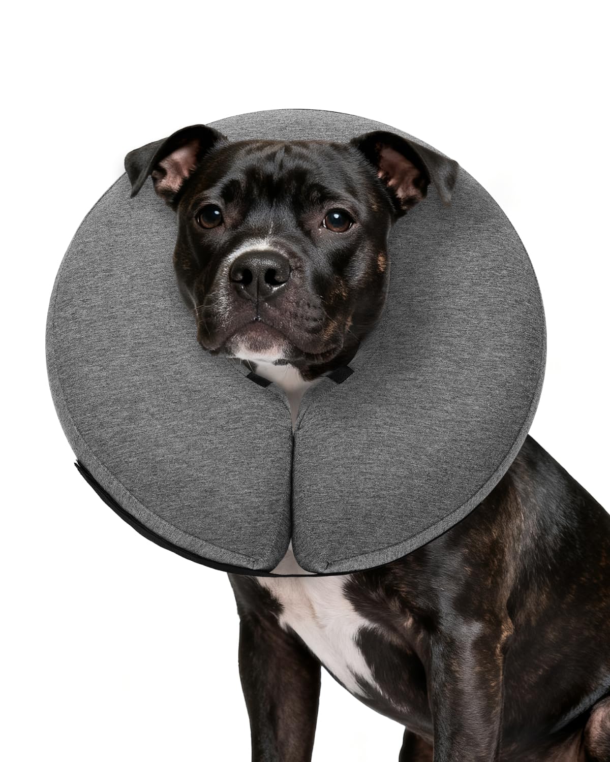 Photo 1 of MIDOG Inflatable Dog Cone Collar – Soft Dog Cone Alternative After Surgery, Comfortable Recovery Neck Donut ECollar for Small Medium & Large Dogs and Cats to Stop Licking & Vision-Friendly (Grey,L)