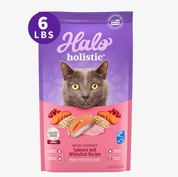 HALO HOLISTIC CAT FOOD WILD CAUGHT SALMON &...