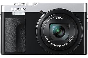 Panasonic DCZS99S Pocket-Sized Travel and Lifestyle Camera, 20.3 MP, 30x Optical Zoom, WiFi and Bluetooth, Silver