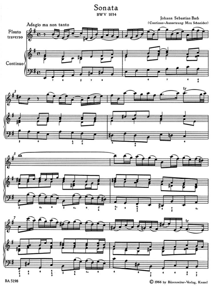 What is the basso continuo brainly image