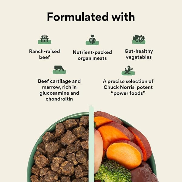 LONE WOLF RANCH CHUCK NORRIS POWER FOODS COMPLETE AIR-DRIED DOG FOOD WITH HIGH PROTEIN, SUPERFOODS, AND GLUCOSAMINE (BEEF, 24OZ)
