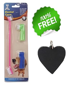 SRI 3 in 1 Cleaning Dental Toothbrush, Multicolor (Small)