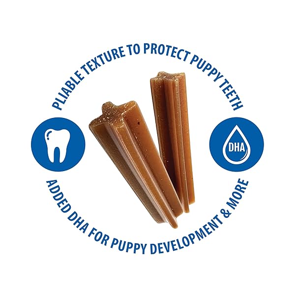 N-BONE JUMBO PUPPY TEETHING STICKS PUMPKIN FLAVOR DOG TREATS, 7 COUNT 7.28-OZ BAG
