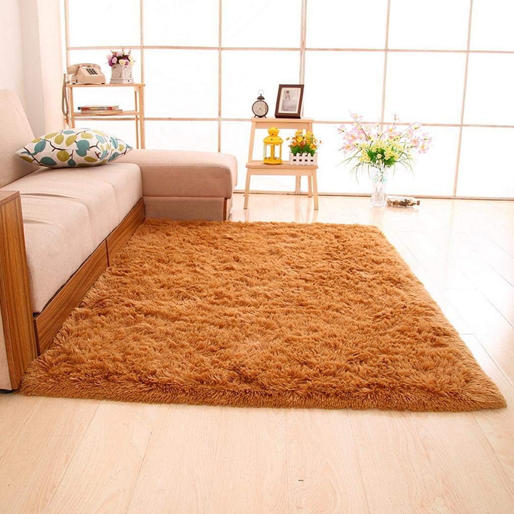 Sliwei Household Blanket Super Soft Faux Fur Rug for Bedroom Sofa Living Room Area Rugs