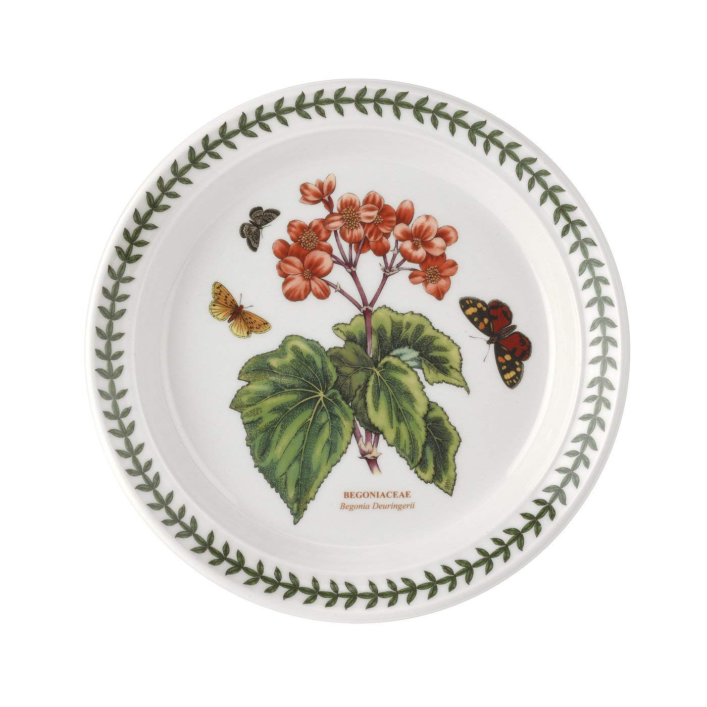 Botanic Garden Salad Plates Set of 6 - Begonia Flower Motif