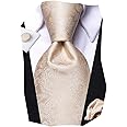 Hi-Tie Silk Paisley Ties for Men Necktie Pocket Square Cufflinks Set Foral Tie Sets Formal Business