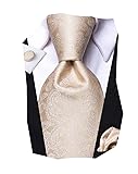 Hi-Tie Champagne Khaki Tie Paisley Silk Mens