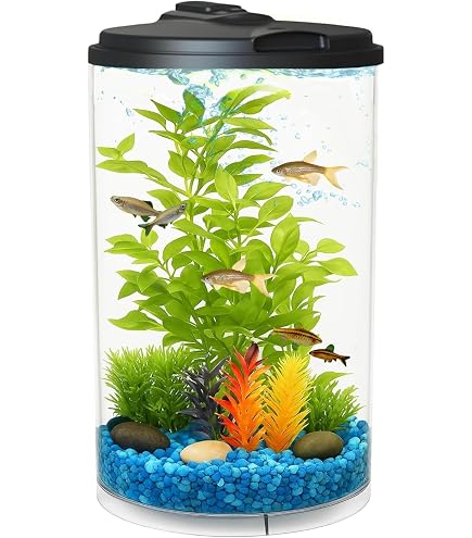 Amazon.com : FZONE 1.2Gal Small Fish Tank with Plant Pot, All-in